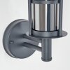 Forli Lampe murale d´extérieur Anthracite, 1 lumière