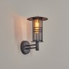 Forli Lampe murale d´extérieur Anthracite, 1 lumière