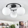 Gastor Plafonnier, Boule lumineuse Blanc, 3 lumières