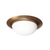 Ikaro Plafonnier Luminaires Steinhauer LED Bronze, 1 lumière