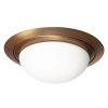 Ikaro Plafonnier Luminaires Steinhauer LED Bronze, 1 lumière