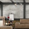 Gearmetal Plafonnier, Spot de plafond Luminaires Steinhauer Argent Oxydé, 2 lumières