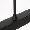 Stang Suspension Luminaires Steinhauer Noir, 3 lumières