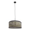 Light Suspension Luminaires Steinhauer Noir, 1 lumière