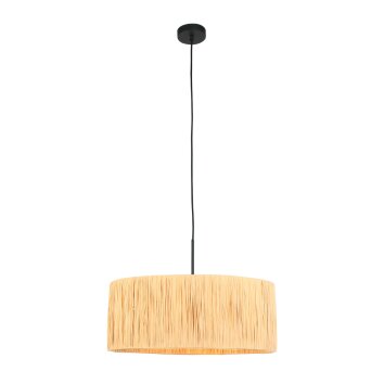 Light Suspension Luminaires Steinhauer Noir, 1 lumière