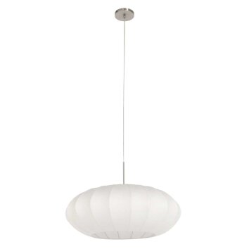 Light Suspension Luminaires Steinhauer Acier brossé, 1 lumière