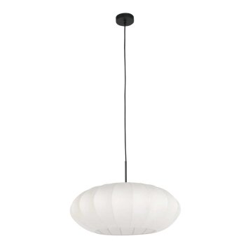 Light Suspension Luminaires Steinhauer Noir, 1 lumière