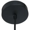 Vidrio Suspension Luminaires Steinhauer Noir, 1 lumière