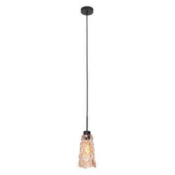 Vidrio Suspension Luminaires Steinhauer Noir, 1 lumière