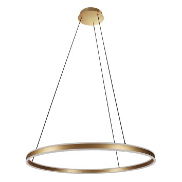 Ringlux Suspension Luminaires Steinhauer LED Or, 2 lumières