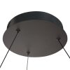 Ringlux Suspension Luminaires Steinhauer LED Noir, 2 lumières