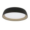 Mykty Plafonnier Luminaires Steinhauer LED Or, Noir, 1 lumière