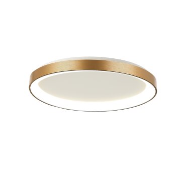 Ringlede Plafonnier Luminaires Steinhauer LED Or, 1 lumière