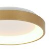 Ringlede Plafonnier Luminaires Steinhauer LED Or, 1 lumière