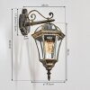 Lavajo Luminaire extérieur, Lampe murale d´extérieur Or, Noir, 1 lumière