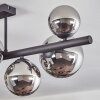 Chehalis Plafonnier, Boule lumineuse Chrome, Fumé, 8 lumières