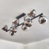 Gastor Plafonnier, Boule lumineuse Chrome, Clair, Fumé, 10 lumières