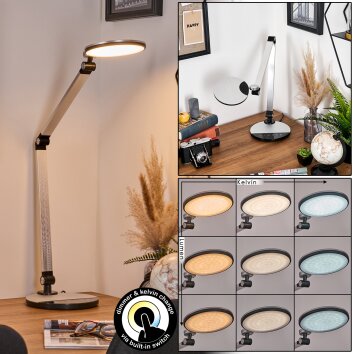 Aldeias Lampe de bureau, Lampe à poser, Liseuse LED Noir, Argenté, 1 lumière