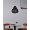 DOLWEN Suspension Luminaires Eglo Noir, 1 lumière