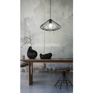 DOLWEN Suspension Luminaires Eglo Noir, 1 lumière