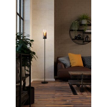 TOOTHILL Lampadaire Luminaires Eglo Noir, 1 lumière