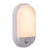 IR Lampe murale d´extérieur Luminaires Lucide LED Blanc, 1 lumière, Détecteur de mouvement