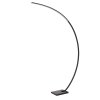 CURVE Lampadaire Luminaires Lucide LED Noir, 1 lumière