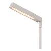 LAVALE Lampadaire Luminaires Lucide LED Blanc, 1 lumière