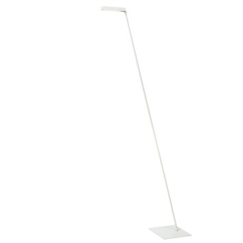 LAVALE Lampadaire Luminaires Lucide LED Blanc, 1 lumière