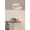 ESTREJA Plafonnier Luminaires Lucide LED Blanc, 1 lumière