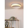 ESTREJA Plafonnier Luminaires Lucide LED Blanc, 1 lumière