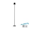 EURIA Lampadaire Luminaires Leuchten Direkt LED Noir, 1 lumière