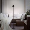 EURIA Lampadaire Luminaires Leuchten Direkt LED Noir, 1 lumière