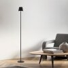 EURIA Lampadaire Luminaires Leuchten Direkt LED Noir, 1 lumière