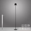 EURIA Lampadaire Luminaires Leuchten Direkt LED Noir, 1 lumière