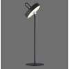 AMAG Lampe à poser Luminaires Leuchten Direkt LED Noir, 1 lumière