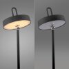 AMAG Lampe à poser Luminaires Leuchten Direkt LED Noir, 1 lumière