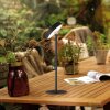 AMAG Lampe à poser Luminaires Leuchten Direkt LED Noir, 1 lumière