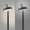 AMAG Lampadaire Luminaires Leuchten Direkt LED Noir, 1 lumière