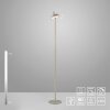 AMAG Lampadaire Luminaires Leuchten Direkt LED Gris, 1 lumière