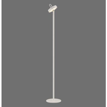 AMAG Lampadaire Luminaires Leuchten Direkt LED Gris, 1 lumière