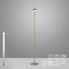 AMAG Lampadaire Luminaires Leuchten Direkt LED Vert, 1 lumière