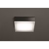 Jachenau Plafonnier, Applique murale Luminaires LCD LED Anthracite, 1 lumière