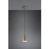 Agudo Suspension Luminaires Trio Brun, 1 lumière