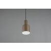 Agudo Suspension Luminaires Trio Brun, 1 lumière