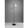 Agudo Lampadaire Luminaires Trio Multicolore, 2 lumières