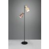 Agudo Lampadaire Luminaires Trio Multicolore, 2 lumières