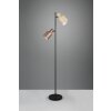 Agudo Lampadaire Luminaires Trio Multicolore, 2 lumières