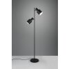 Agudo Lampadaire Luminaires Trio Noir, 2 lumières