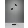 Agudo Lampadaire Luminaires Trio Noir, 2 lumières